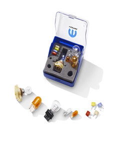 Set reservelampen voor Fiat Freemont